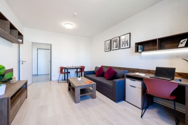 Pronájem bytu 2+1 46 m², Magisterská, Plzeň, Plzeňský kraj Pronájem bytu 2+1 46 m², Magisterská, Plzeň, Plzeňský kraj