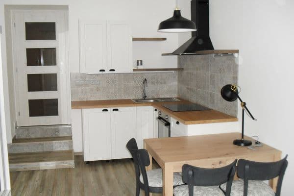 Pronájem bytu Garsoniéra 28 m², Gorazdova, Brno Pronájem bytu Garsoniéra 28 m², Gorazdova, Brno