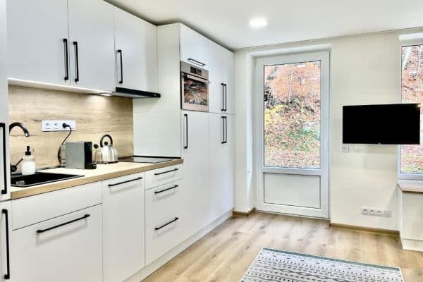 Pronájem bytu 1+kk 36 m², K Lanovce, Jáchymov Pronájem bytu 1+kk 36 m², K Lanovce, Jáchymov