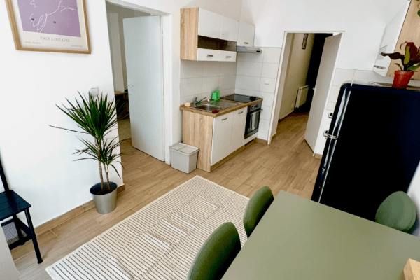 Pronájem bytu 2+kk 49 m², Holečkova, Praha Pronájem bytu 2+kk 49 m², Holečkova, Praha