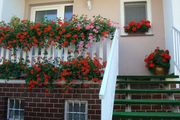 Pronájem bytu Garsoniéra 18 m², Praha Pronájem bytu Garsoniéra 18 m², Praha