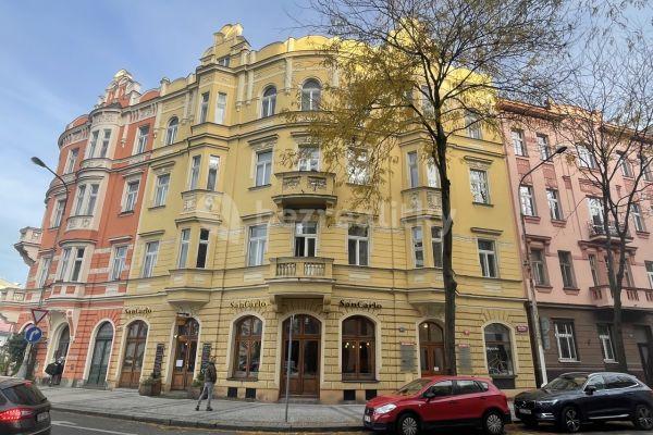 Pronájem bytu 1+kk 28 m², Šaldova, Hlavní město Praha