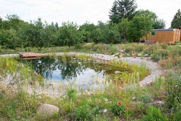 Pronájem chaty, chalupy, Heřmanov Pronájem chaty, chalupy, Heřmanov