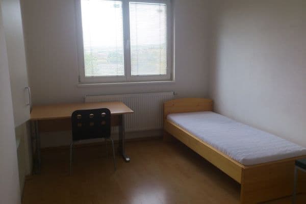 Pronájem bytu Pronájem bytu