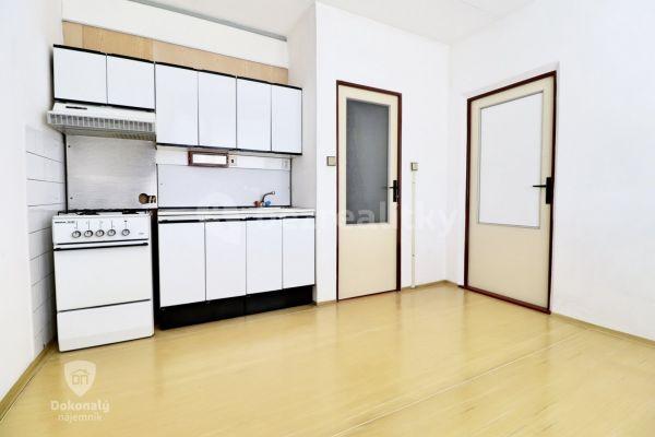 Pronájem bytu 1+1 39 m², Žlutická, 