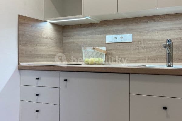 Pronájem bytu 1+kk 38 m², Žilkova, Brno Pronájem bytu 1+kk 38 m², Žilkova, Brno