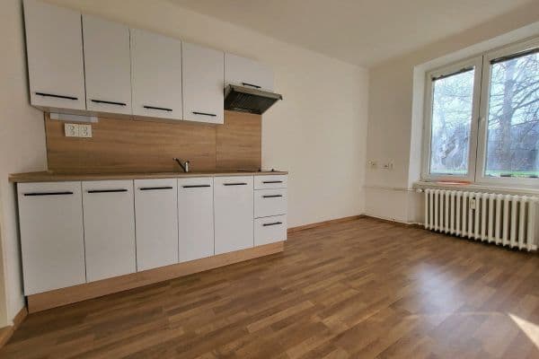 Pronájem bytu 1+kk 18 m², Mánesova, Pronájem bytu 1+kk 18 m², Mánesova,
