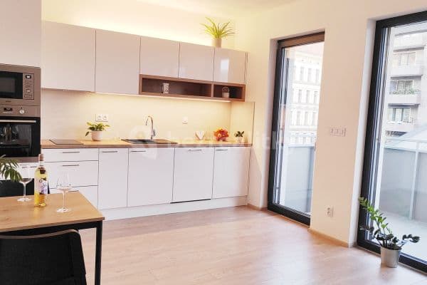 Pronájem bytu 1+kk 30 m², Bratislavská, Brno Pronájem bytu 1+kk 30 m², Bratislavská, Brno