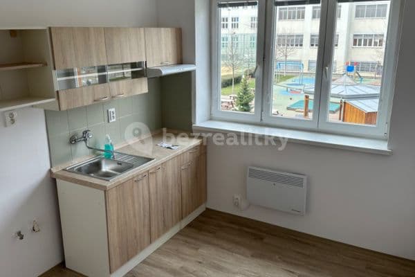 Pronájem bytu 1+kk 15 m², Náplavka, Brno, Jihomoravský kraj Pronájem bytu 1+kk 15 m², Náplavka, Brno, Jihomoravský kraj