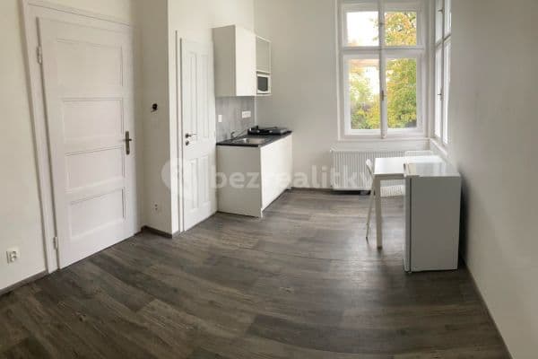 Pronájem bytu 1+kk 20 m², Lužova, Brno Pronájem bytu 1+kk 20 m², Lužova, Brno