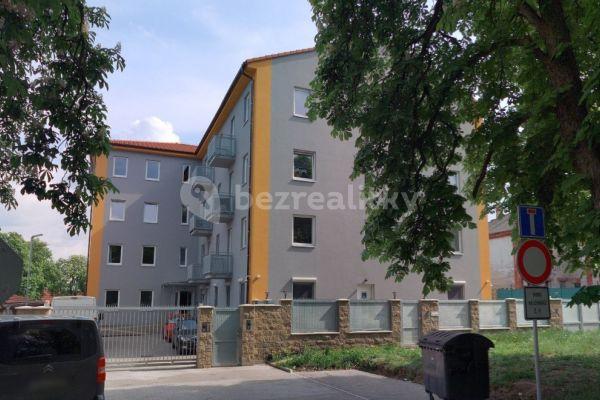 Pronájem bytu 1+1 33 m², Kaštanová, Milovice