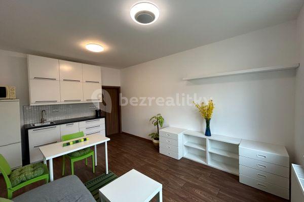 Pronájem bytu 1+kk 33 m², Podolská, Hlavní město Praha
