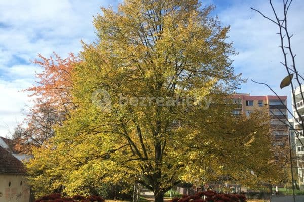 Pronájem bytu 1+1 38 m², Na Hranicích, Praha Pronájem bytu 1+1 38 m², Na Hranicích, Praha