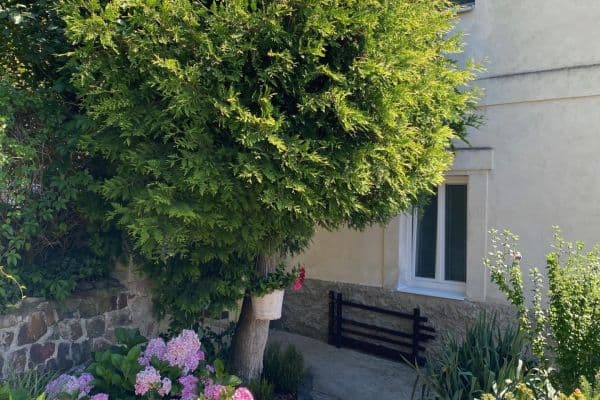 Pronájem bytu 2+1 63 m², U Potoka, Všenory Pronájem bytu 2+1 63 m², U Potoka, Všenory