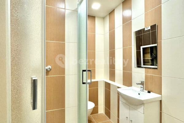 Pronájem bytu 1+1 38 m², Nová, Ústí nad Labem Pronájem bytu 1+1 38 m², Nová, Ústí nad Labem