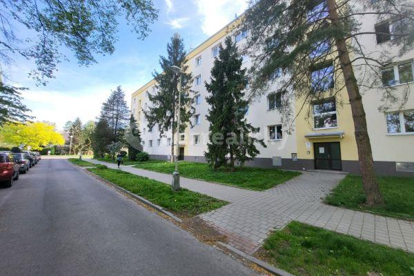 Pronájem bytu 2+1 53 m², Holubova, 