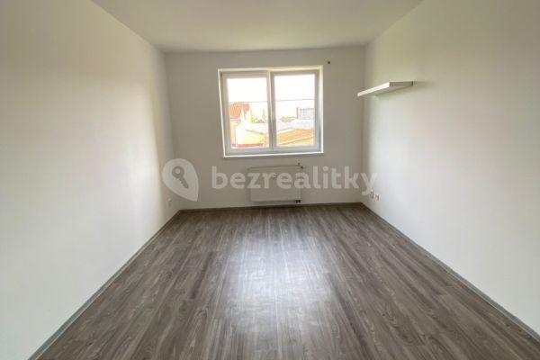 Pronájem bytu 1+1 47 m², Říční, Plzeň