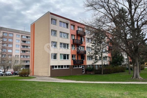Pronájem bytu 3+1 63 m², Vachkova, Hradec Králové, Královéhradecký kraj