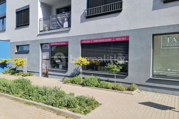 Prodej nebytového prostoru 85 m², Turgeněvova, Brno