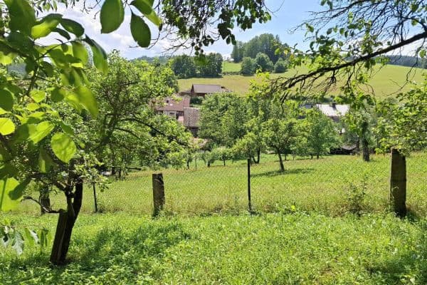 Prodej pozemku Prodej pozemku