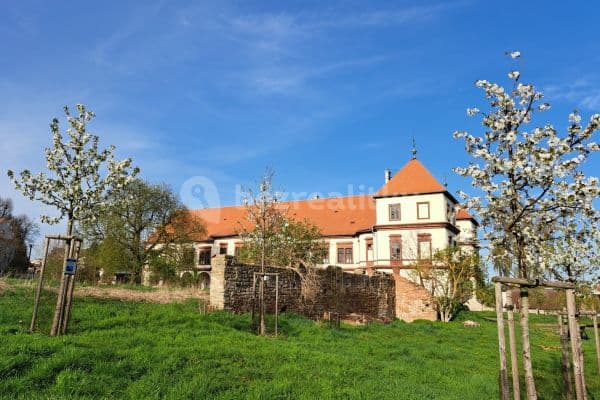 Pronájem bytu 2+kk 50 m², Hořiněves Pronájem bytu 2+kk 50 m², Hořiněves