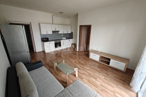 Pronájem bytu 2+kk 50 m², U Boru, České Budějovice Pronájem bytu 2+kk 50 m², U Boru, České Budějovice