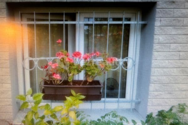 Pronájem bytu 1+kk 8 m², Roztylské sady, Praha Pronájem bytu 1+kk 8 m², Roztylské sady, Praha