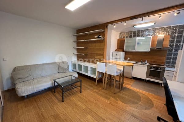 Pronájem bytu 2+kk 50 m², Bělohorská, Praha Pronájem bytu 2+kk 50 m², Bělohorská, Praha