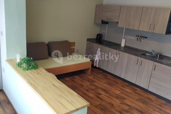Pronájem bytu 1+kk 32 m², Netušilova, Prostějov Pronájem bytu 1+kk 32 m², Netušilova, Prostějov