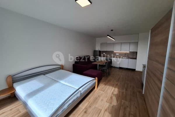 Pronájem bytu 1+kk 40 m², Řepova, Brno Pronájem bytu 1+kk 40 m², Řepova, Brno