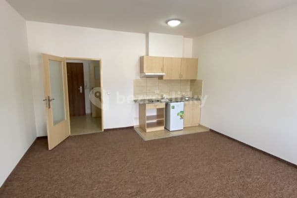 Pronájem bytu 1+kk 35 m², Otvovice Pronájem bytu 1+kk 35 m², Otvovice