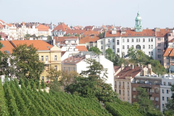 Pronájem bytu 2+kk 44 m², Na Královce, Praha Pronájem bytu 2+kk 44 m², Na Královce, Praha