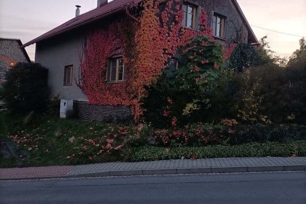 Pronájem chaty, chalupy, Olbramice Pronájem chaty, chalupy, Olbramice