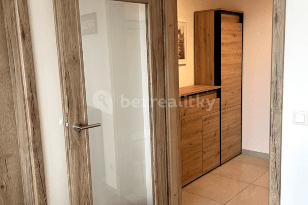 Pronájem bytu 1+1 47 m², Řepova, Brno Pronájem bytu 1+1 47 m², Řepova, Brno