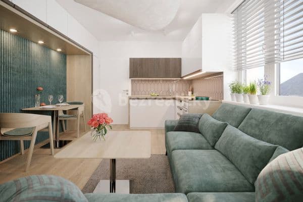 Prodej bytu 1+kk 43 m², Palackého, Nový Jičín Prodej bytu 1+kk 43 m², Palackého, Nový Jičín