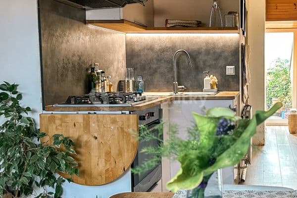 Pronájem bytu 3+kk 70 m², Rybářská, Brno Pronájem bytu 3+kk 70 m², Rybářská, Brno