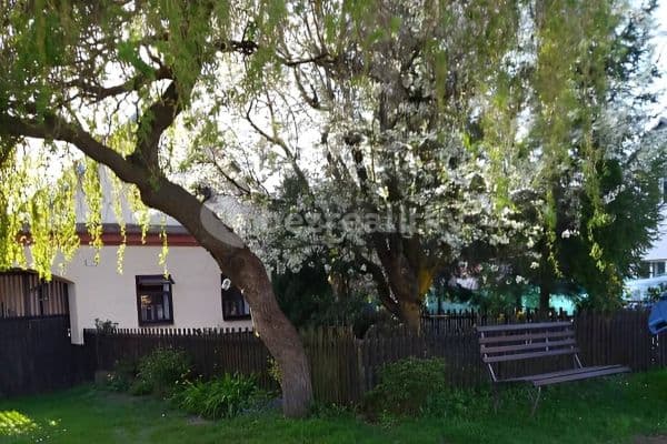 Pronájem chaty, chalupy, Luže - Voletice Pronájem chaty, chalupy, Luže - Voletice