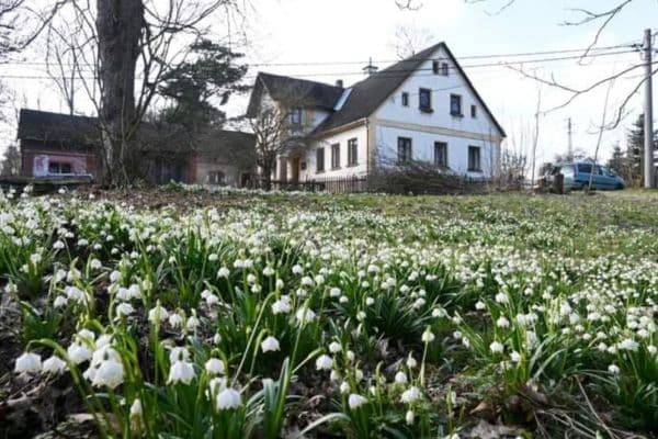 Prodej domu 190 m², pozemek 3.850 m², Rudník Prodej domu 190 m², pozemek 3.850 m², Rudník