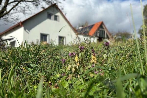 Pronájem chaty, chalupy, Horní Radouň Pronájem chaty, chalupy, Horní Radouň