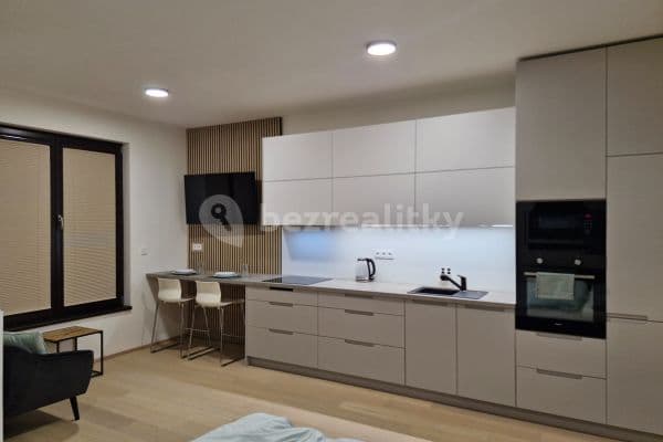 Pronájem bytu 1+kk 40 m², V Třešňovce, Praha Pronájem bytu 1+kk 40 m², V Třešňovce, Praha