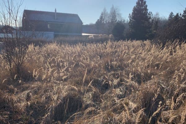 Prodej pozemku 1.161 m², Heřmánková, Sulice Prodej pozemku 1.161 m², Heřmánková, Sulice