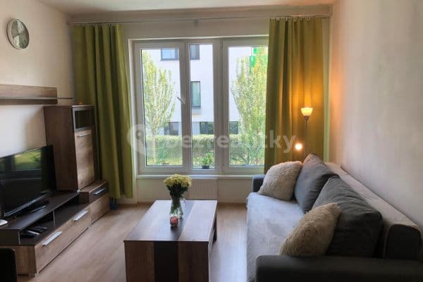 Pronájem bytu 1+kk 35 m², Nepomuckých, Praha Pronájem bytu 1+kk 35 m², Nepomuckých, Praha