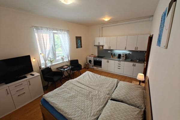 Pronájem bytu 1+kk 29 m², U Boru, České Budějovice Pronájem bytu 1+kk 29 m², U Boru, České Budějovice