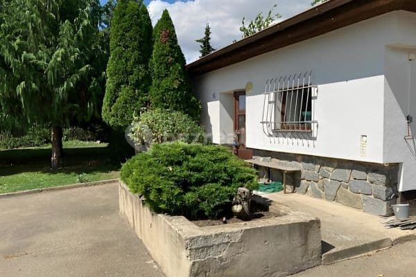 Pronájem chaty, chalupy, Hustopeče Pronájem chaty, chalupy, Hustopeče