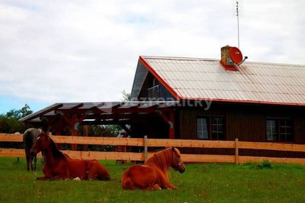 Pronájem chaty, chalupy, Slavonice Pronájem chaty, chalupy, Slavonice