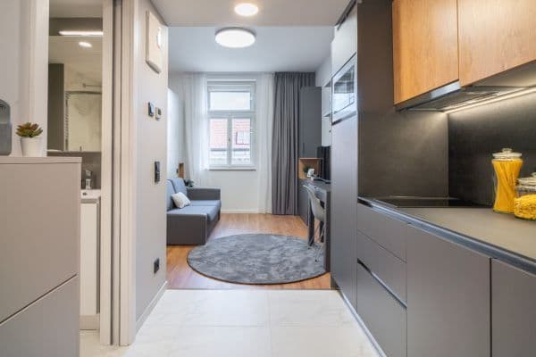 Pronájem bytu 1+kk 25 m², Legerova, Hlavní město Praha Pronájem bytu 1+kk 25 m², Legerova, Hlavní město Praha