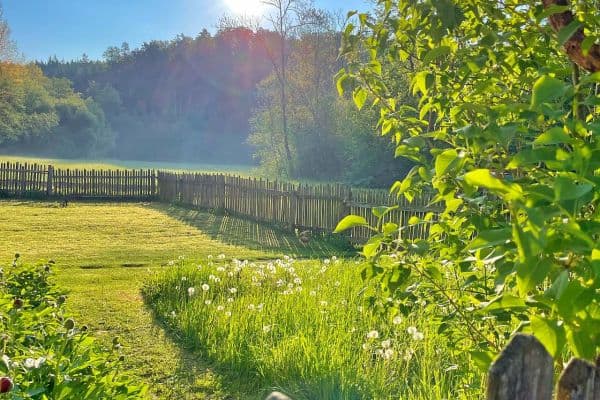 Pronájem chaty, chalupy, Rohle - Janoslavice Pronájem chaty, chalupy, Rohle - Janoslavice