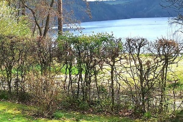 Prodej domu 73 m², pozemek 700 m², Slapy Prodej domu 73 m², pozemek 700 m², Slapy