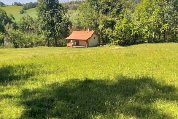 Pronájem chaty, chalupy, Mladá Vožice - Horní Kouty Pronájem chaty, chalupy, Mladá Vožice - Horní Kouty