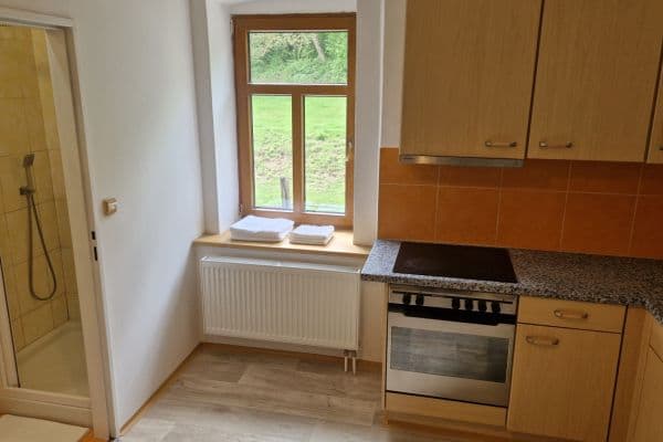 Pronájem bytu 1+1 45 m², Dubá Pronájem bytu 1+1 45 m², Dubá